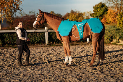 Horse with Lumina 3D-e VET HORSE MOTION CARE
